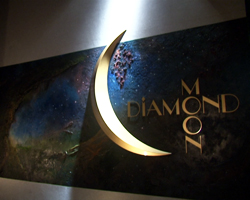 DIAMOND MOON