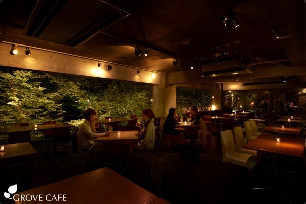 GROVE CAFE