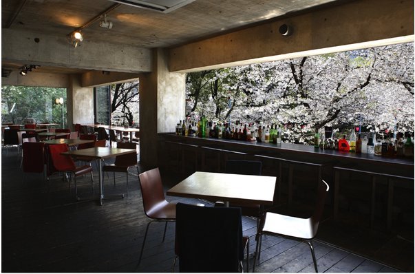 GROVE CAFE