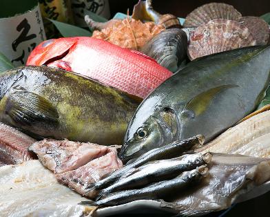 魚を触りたい方は是非!