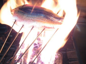 地酒と地魚「吟吟」