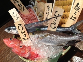 毎朝仕入れる厳選魚介たち!