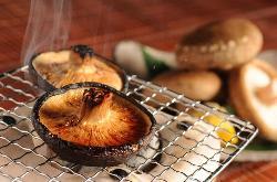 素材の味をそのままに