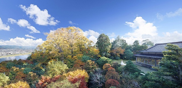 辻家庭園