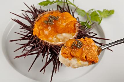 新鮮な魚介類と白や泡とのマリアージュ!!
