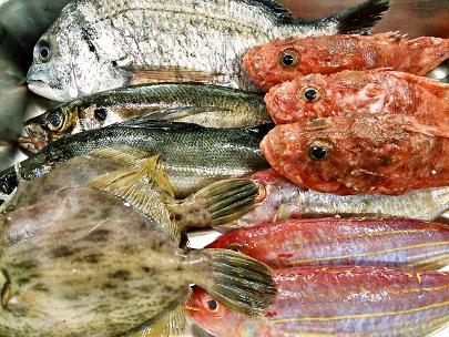 全国の漁港から直接鮮魚を仕入れます