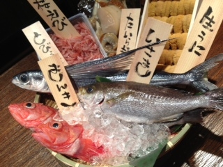 朝獲れの魚が毎日やってくるー!