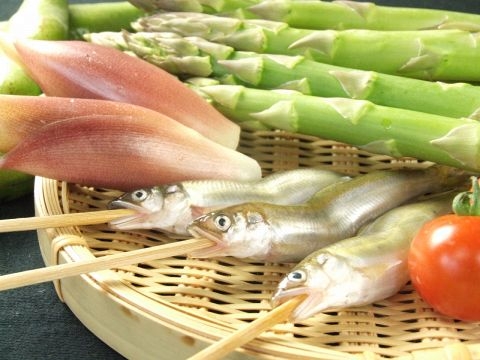 季節の旬の食材を串揚げに