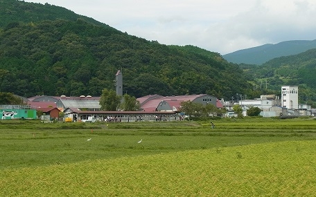 ☆田んぼから見る酪農王国オラッチェ☆