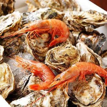 毎日届く国産牡蠣は美味しい産地から