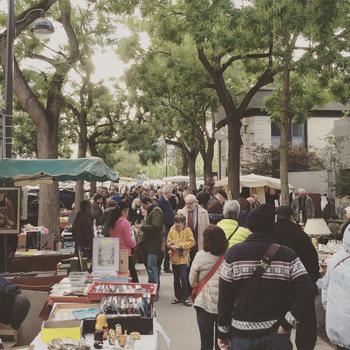 恒例のフランス研修は風土を学びます