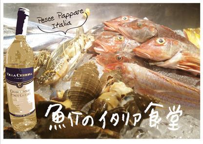 TRATTORIA di PESCE PAPPARE Italia