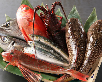 漁師より天然の魚介を直接買い付け