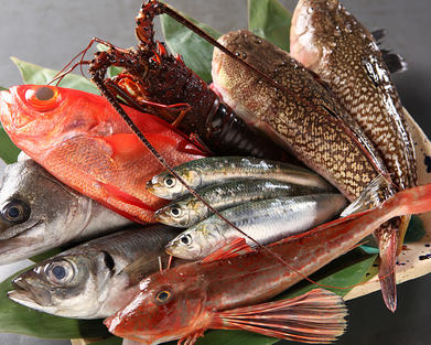 魚も充実!