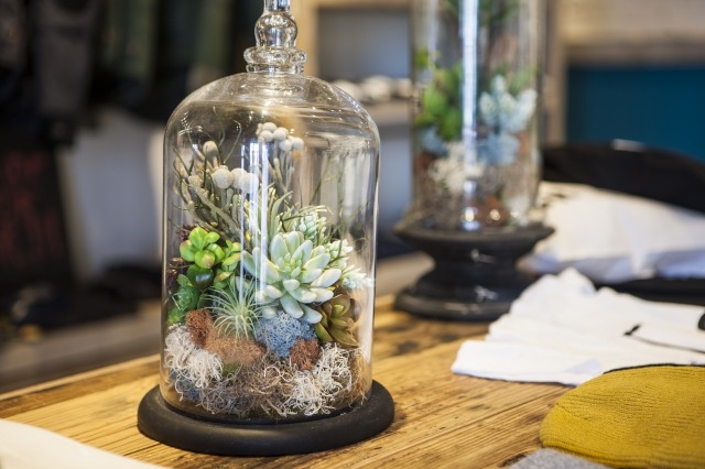 GREEN PLANTも店内を彩ります