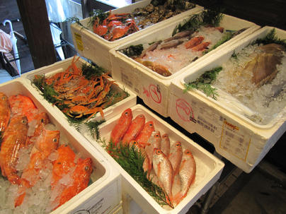 魚甚