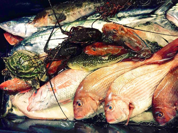 北茨城産あんこう・平潟港直送の鮮魚 篠げん