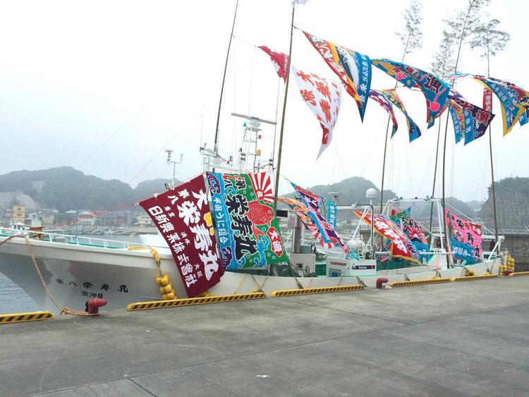 浜は今日も元気です!