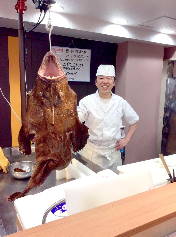 どんな魚も捌けるように成長できます!