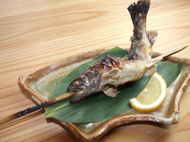 千曲川の支流で育った岩魚♪