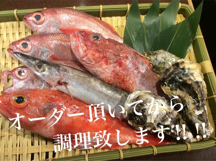 朝どれ鮮魚