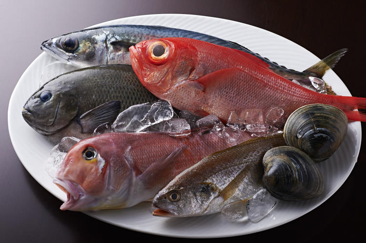 三浦の魚介を直送