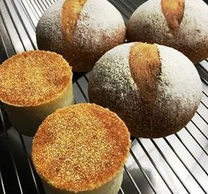 PATISSERIE AGRO @ FORESTRY