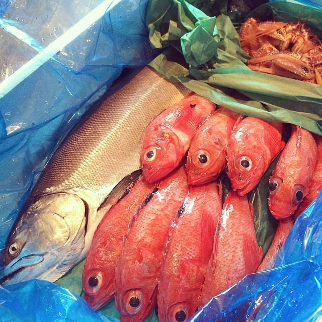 新鮮な魚介も豊富に届く