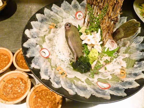 色んな魚に触れられる環境があります!