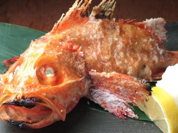 炉端焼き うだつ 横浜野毛本店