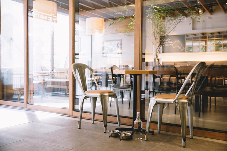 朝の陽ざしが気持ちいい店内