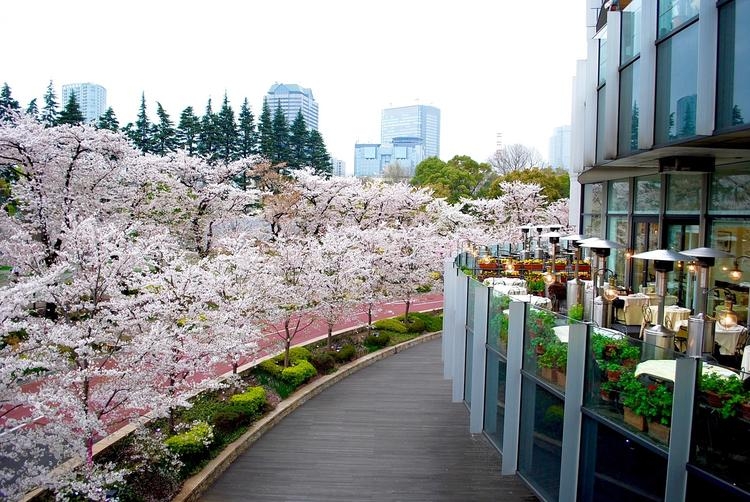 桜の時期は最高のお花見スポットです