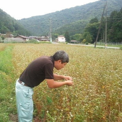 生産者からそばを入荷し、品質管理します