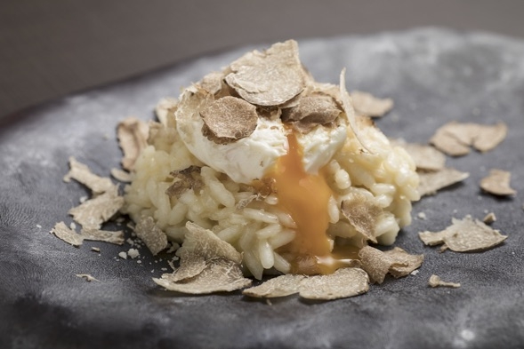 Truffle risotto