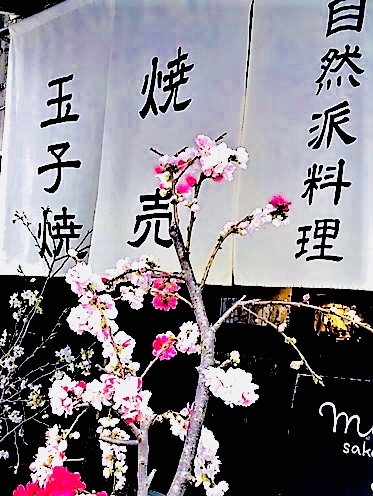 miniyon 坂ノ上