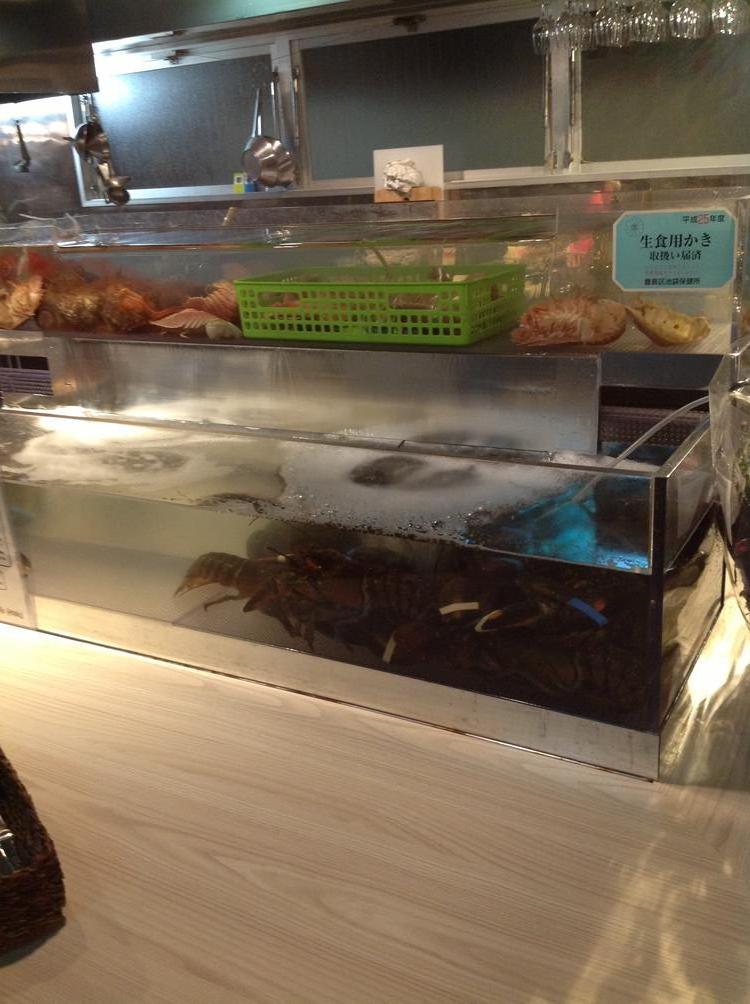 ShrimpBank