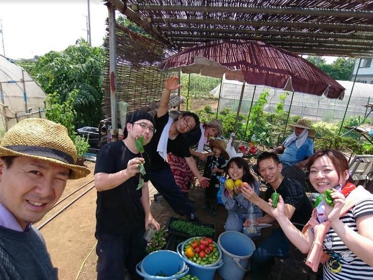 自家農園の新鮮野菜