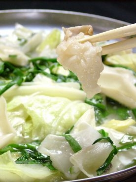 博多水炊き風もつ鍋 もつ藤