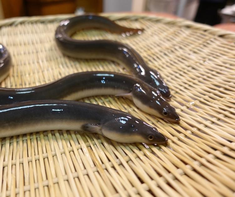 素材のサスティナビリティにもこだわる!