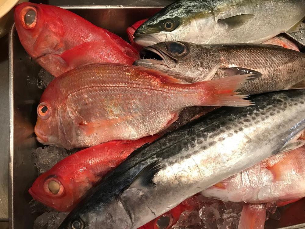 産地直送の鮮魚