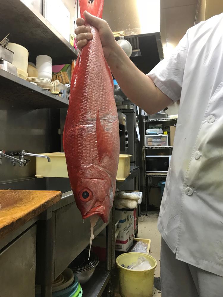 こんな魚も捌けるようになります!