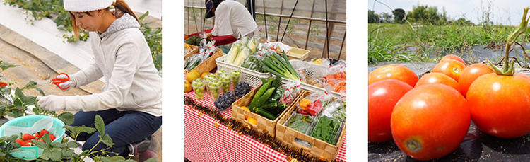 自社農園で食材を生産しています!