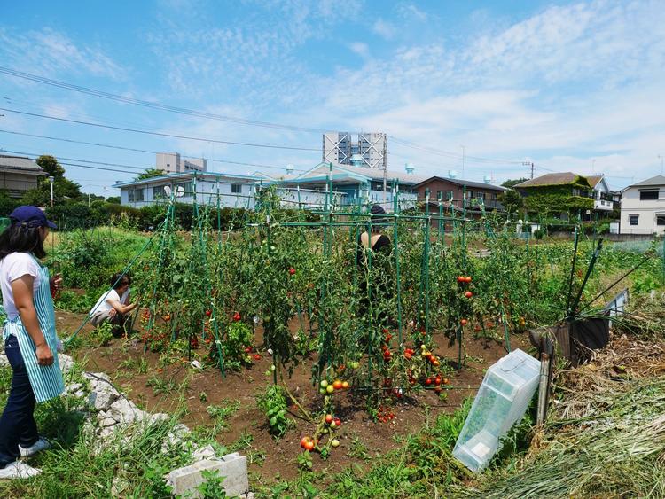 自給自足を目指して!