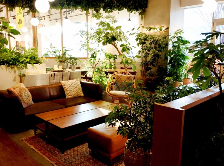 NAAK CAFE 流山店