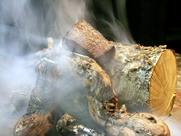 富士山麓牛 物の木の薫