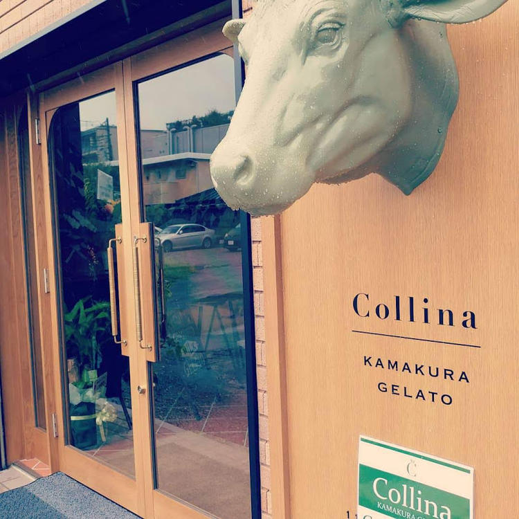 Collina Kamakura Gelato