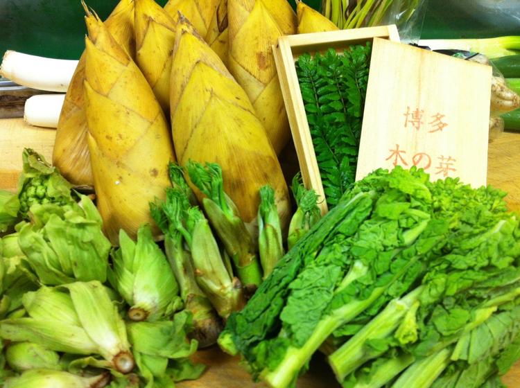 季節の山菜