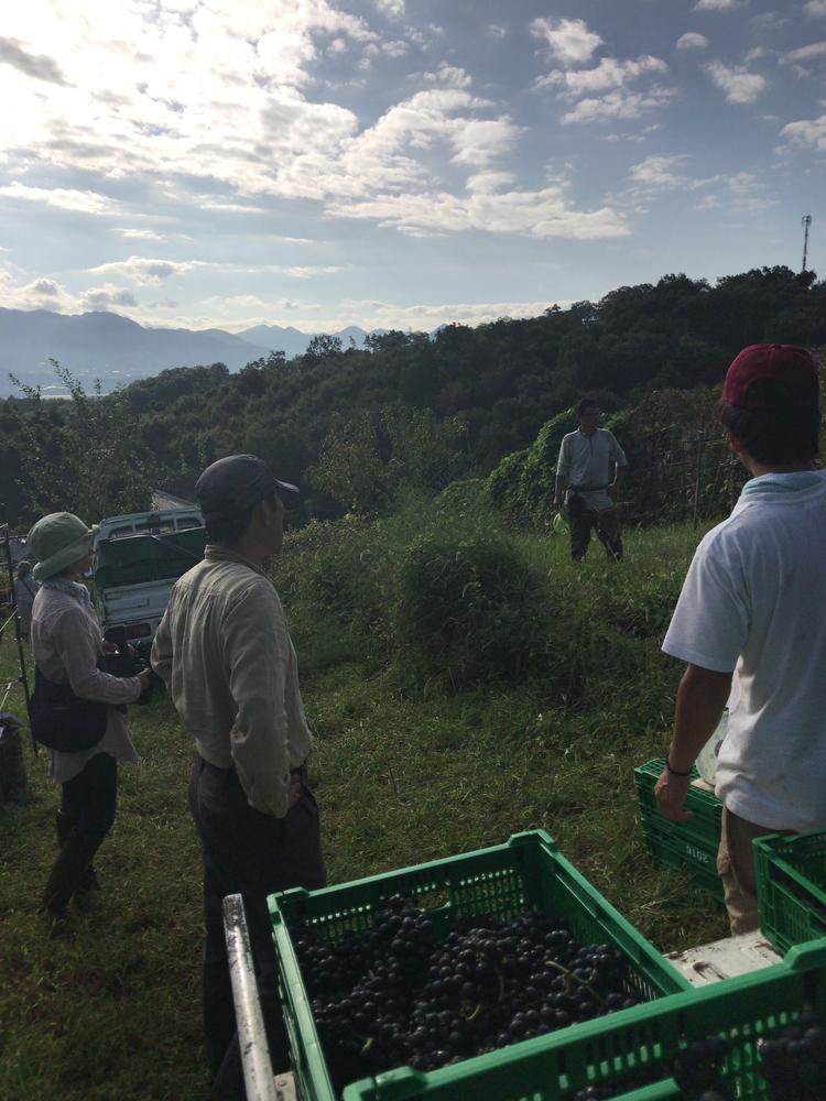 夏季冬季休み10日間ほど!リフレッシュ♫