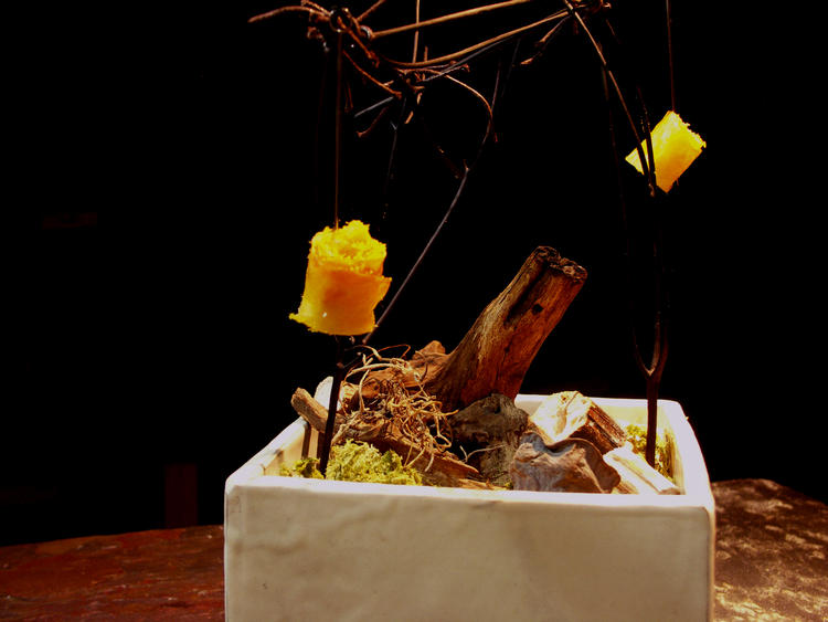 落合芋 発酵 カラスミ