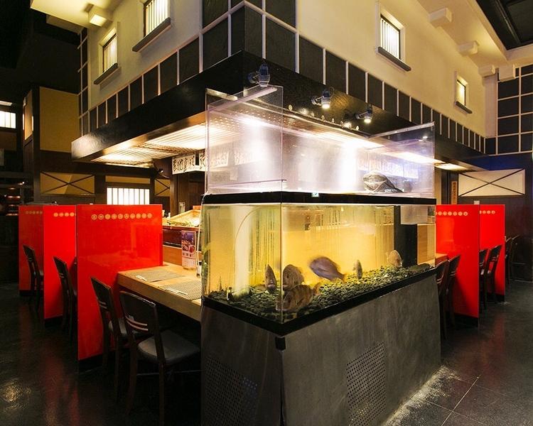 カウンターのすぐそばには活魚も